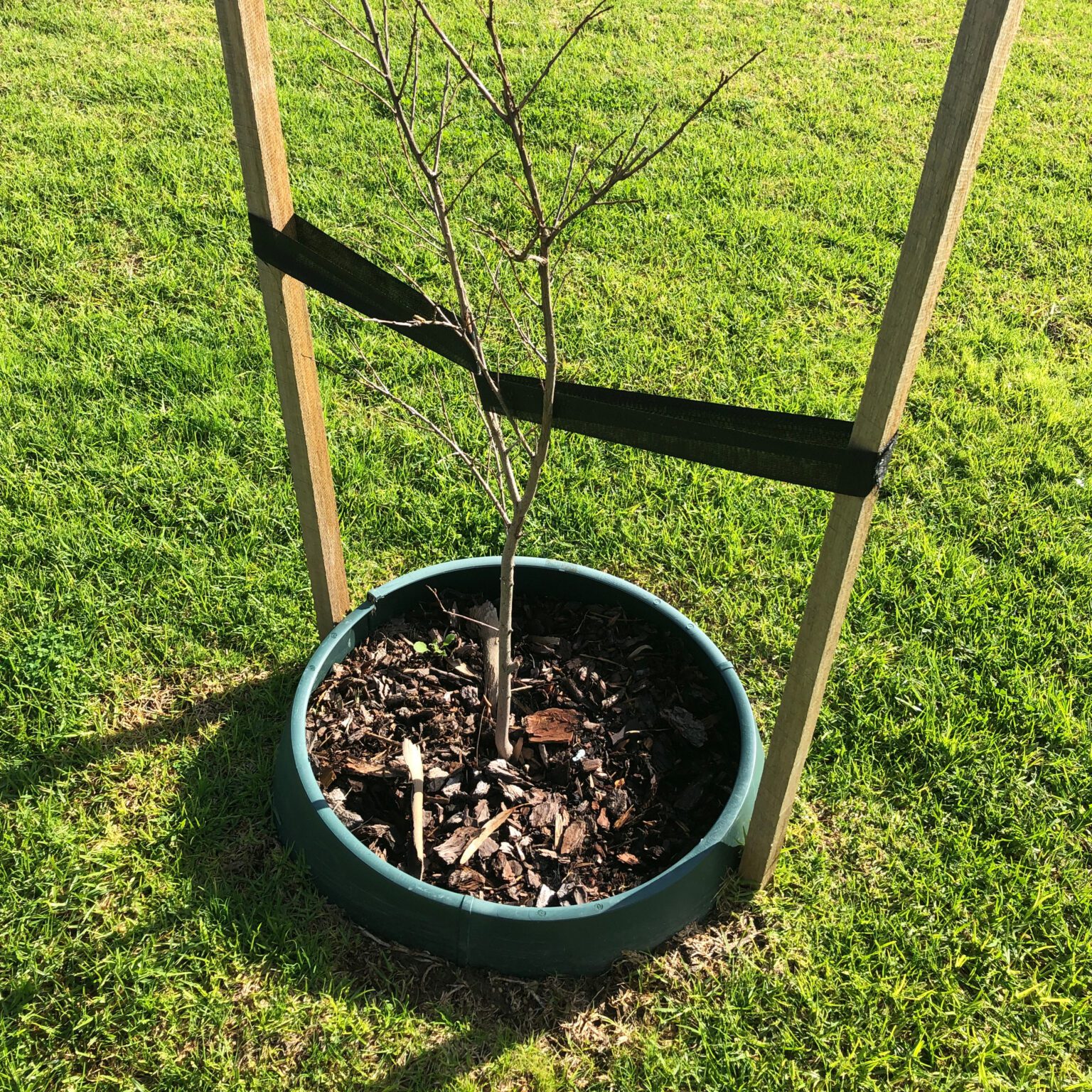 J A Grigsons Horticulture Viticulture Surveying Civil Landscaping