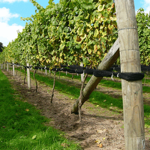 SIDE NET 600X600 BLACK